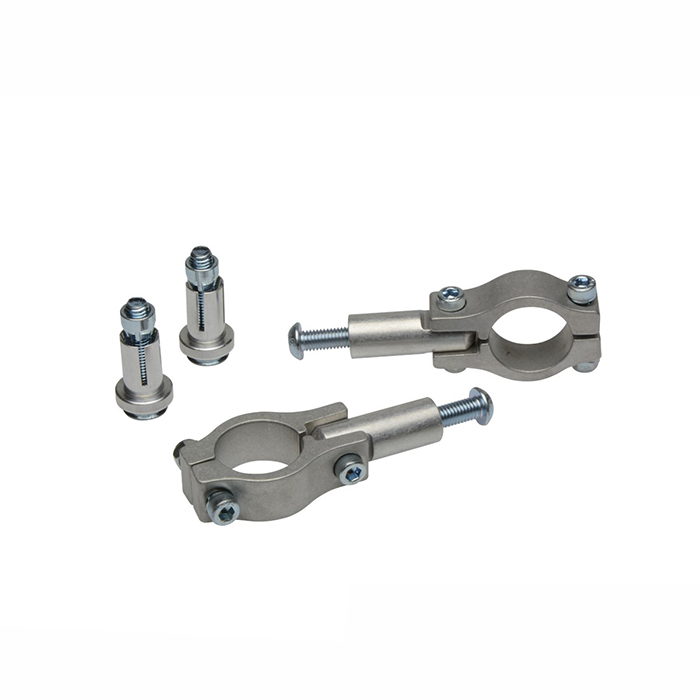 Daisy on the Ohoopee